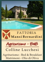 Agriturismo Fattoria Mansi Bernardini Lucca